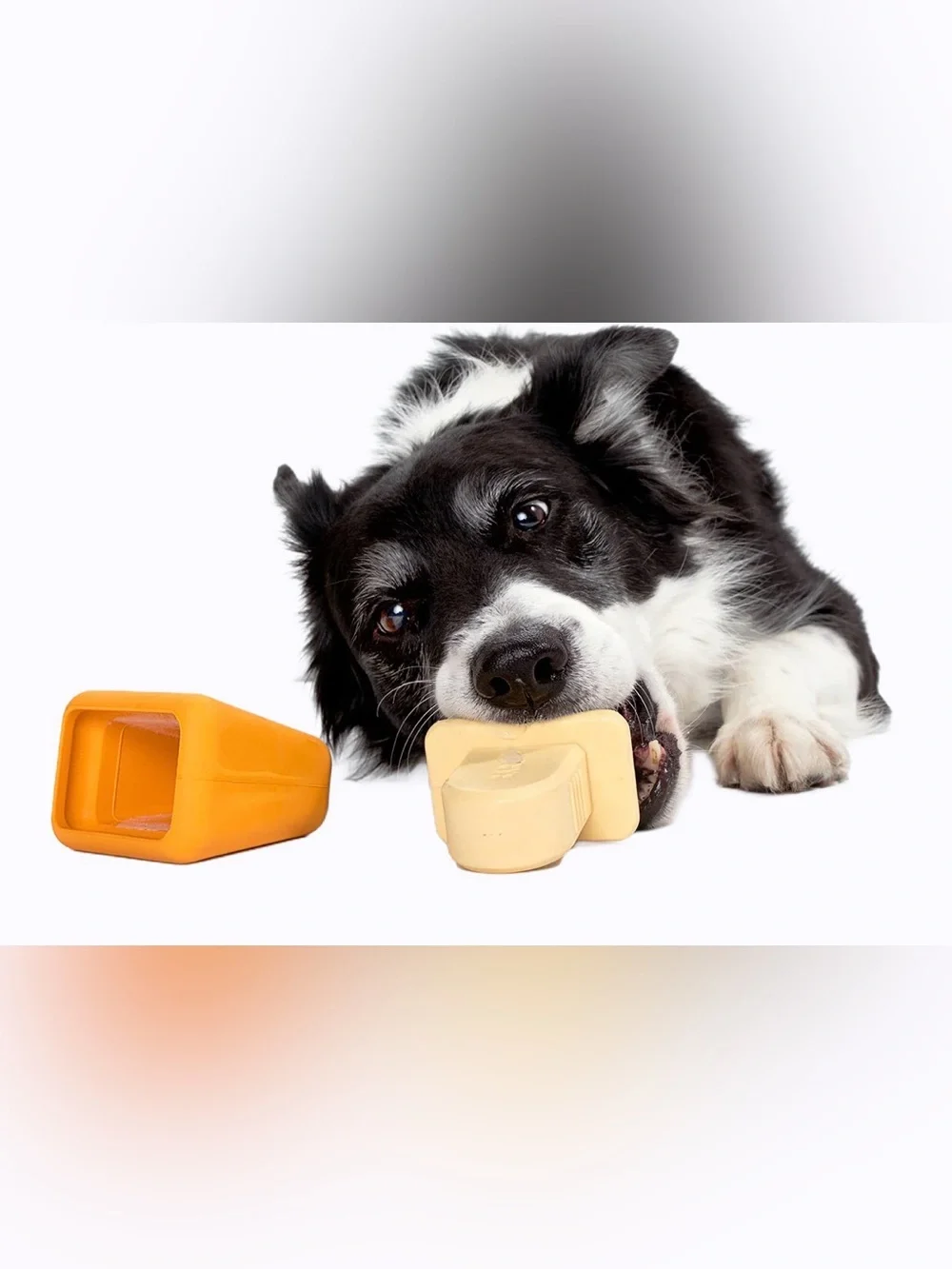 Bark Box Super Chewer Pupsicle dog Freezer Treat maker NEW M-L Tough Chewer kit